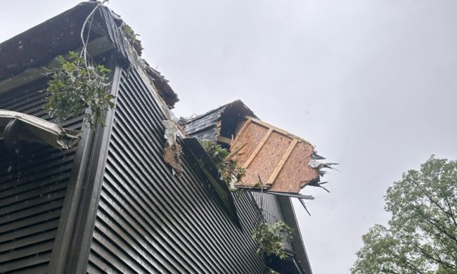 Lowell - Tree Damage Restoration Before