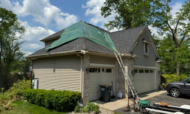 Portage Tree Damage Before