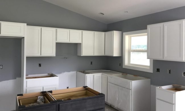 Sand Lake Fire Restoration After